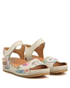 213 -Hispanitas Shoes Shop 39942905 02