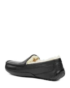 Ugg ASCOT 11 Ugg ASCOT -Hispanitas Shoes Shop 49d859efbcdeb65e189b92c8f52d5ab1f82af2ec 43071026JC165
