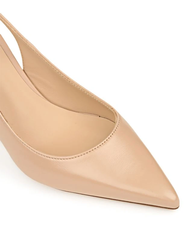 FRANS 7 FRANS - Image 5