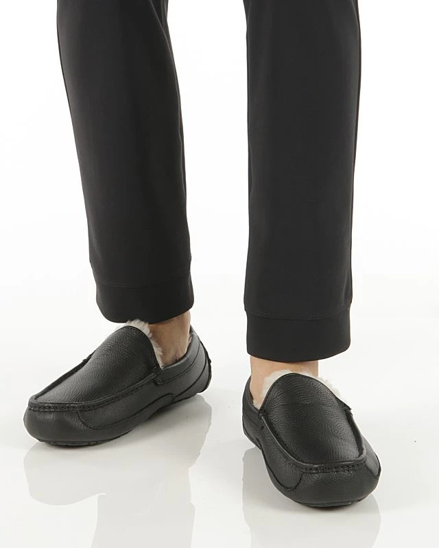 Ugg ASCOT 7 Ugg ASCOT - Image 5