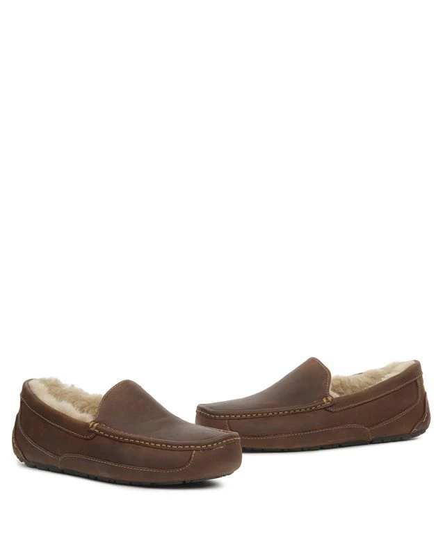 Ugg ASCOT 3 Ugg ASCOT